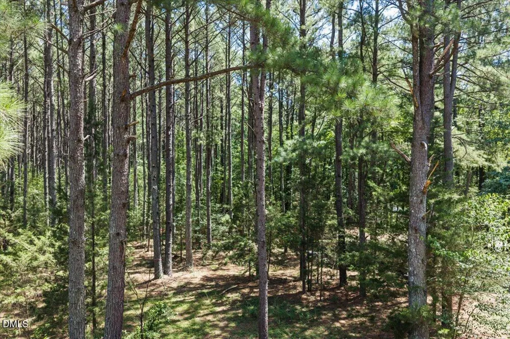 14033 Bold Run Hill Road Wake Forest, NC 27587