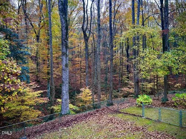 14033 Bold Run Hill Road Wake Forest, NC 27587