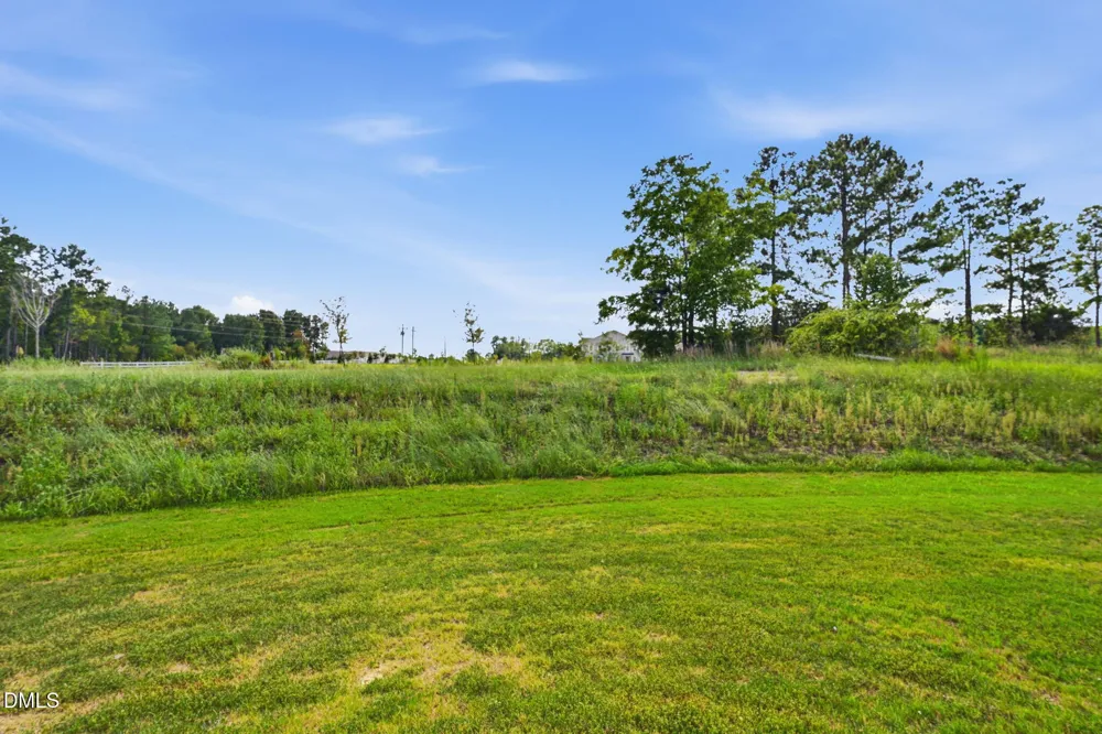 65 Royal Meadow Drive Angier, NC 27501
