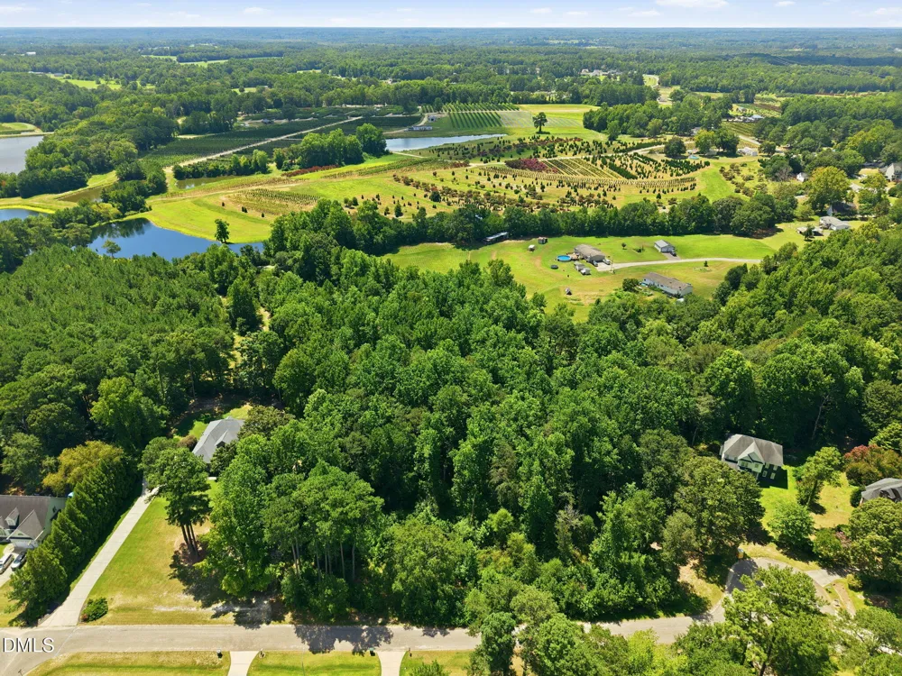 205 Teresa Court Angier, NC 27501