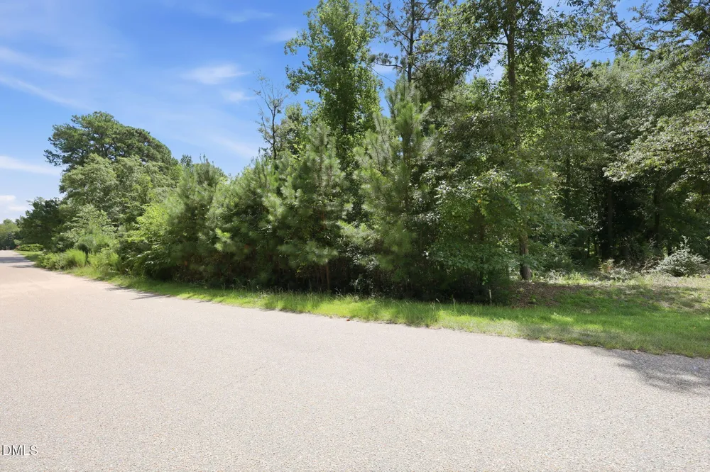 205 Teresa Court Angier, NC 27501