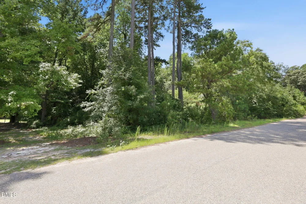205 Teresa Court Angier, NC 27501