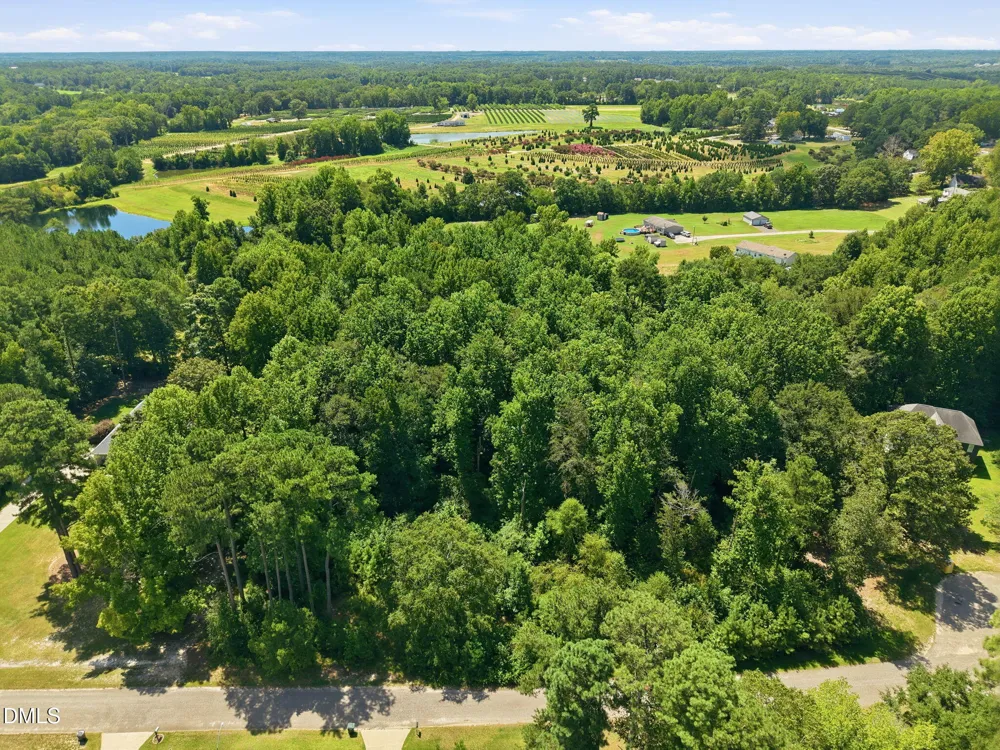 205 Teresa Court Angier, NC 27501