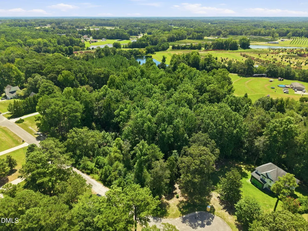 205 Teresa Court Angier, NC 27501