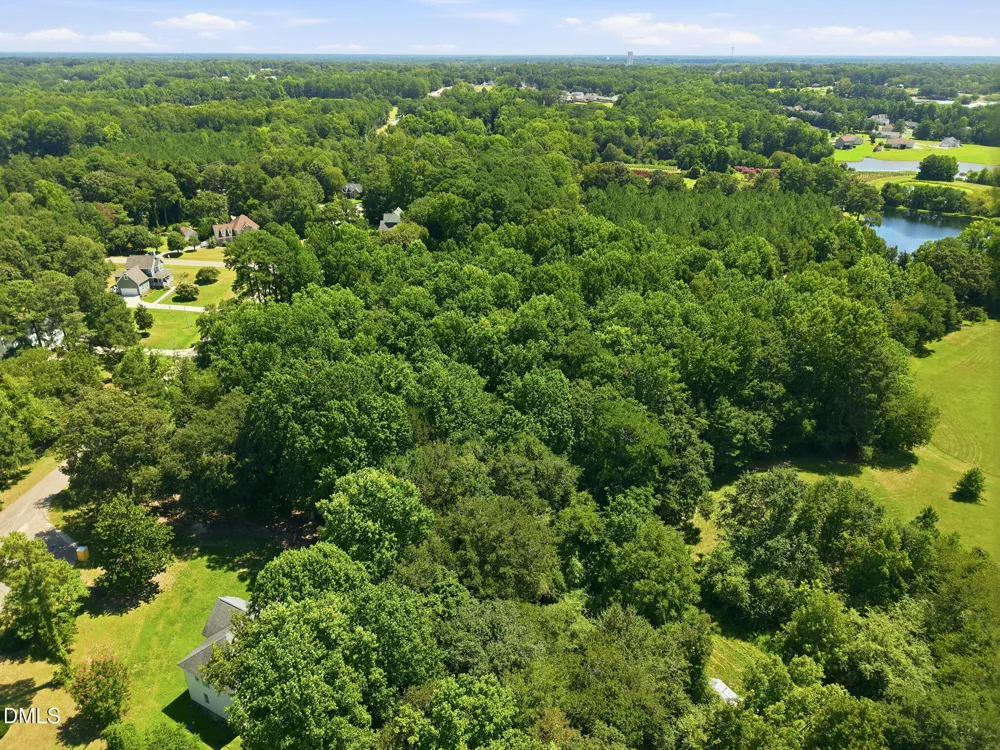 205 Teresa Court Angier, NC 27501