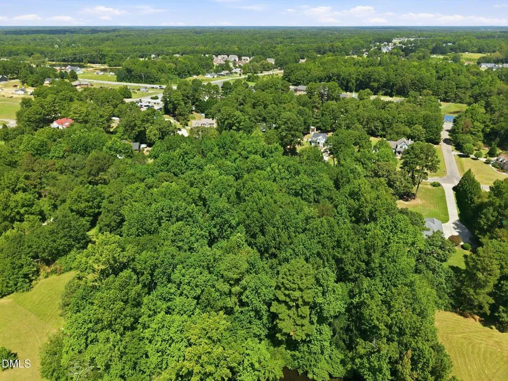 205 Teresa Court Angier, NC 27501