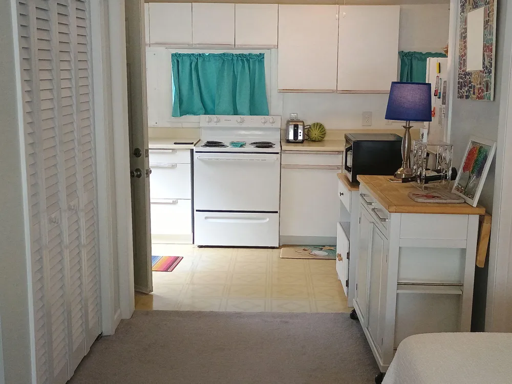 164 Portage Lake Road Waterloo Township, MI 49259