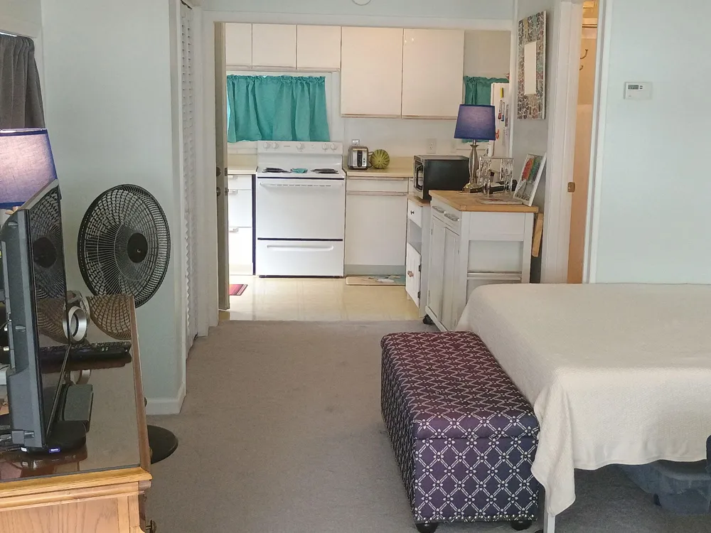 164 Portage Lake Road Waterloo Township, MI 49259