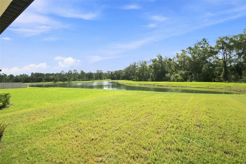 35418 ACKLEY TRACE Zephyrhills, FL 33541