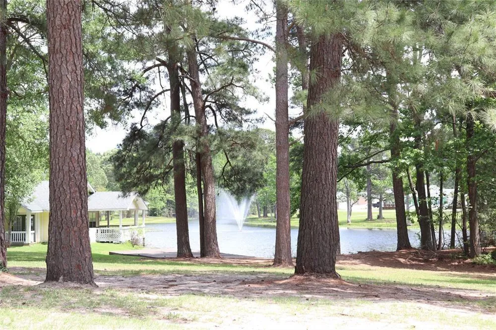245 Water Oak Livingston, TX 77351