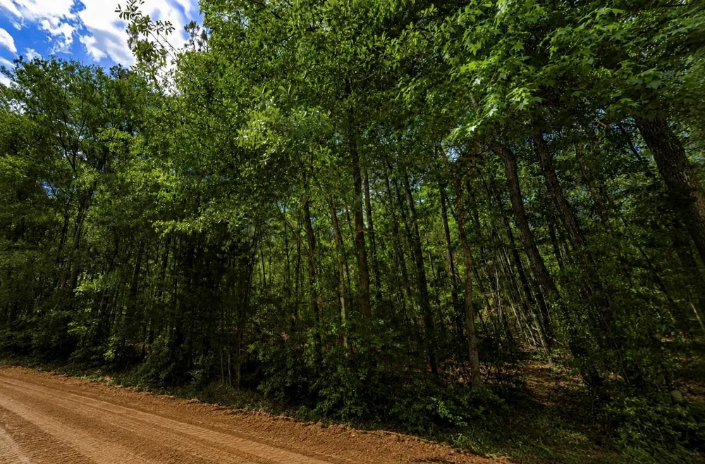 1 Forever Road New Waverly, TX 77358