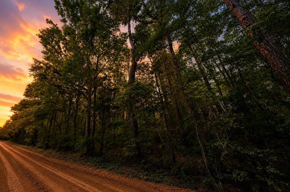 1 Forever Road New Waverly, TX 77358