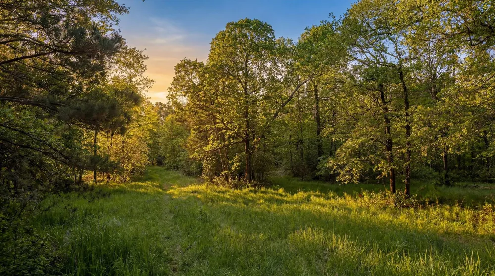 1 Forever Road New Waverly, TX 77358