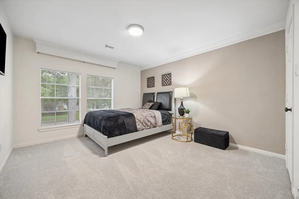 4419 Three Rivers Drive Sugar Land, TX 77478