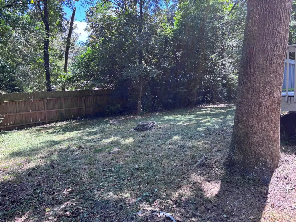 16793 Stinson Lane Montgomery, TX 77316