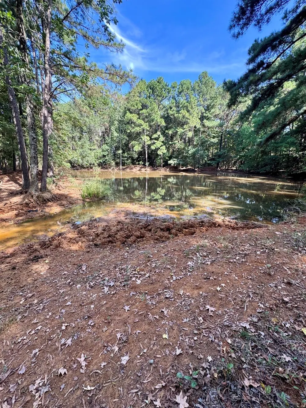 E State Hwy 21 Crockett, TX 75835