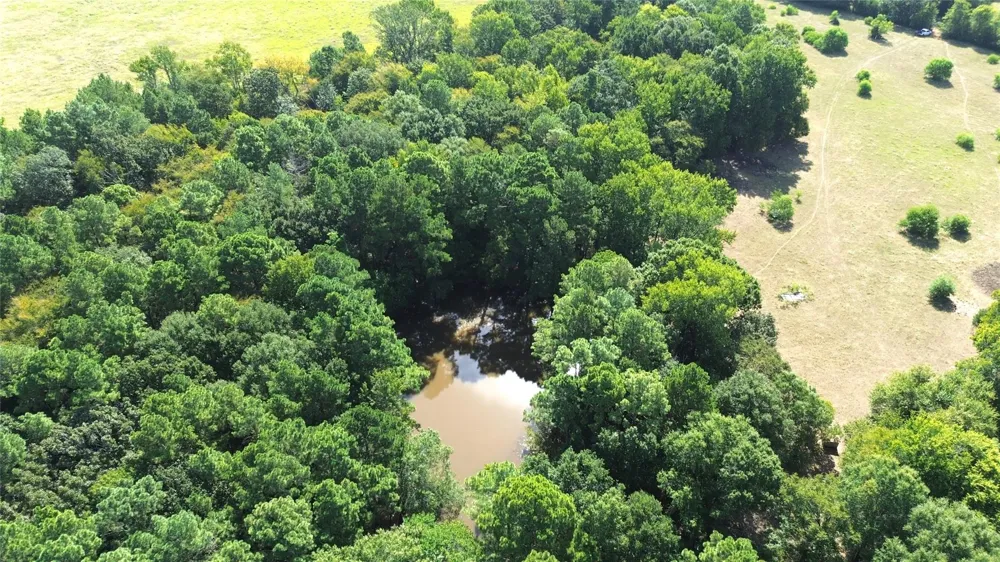 E State Hwy 21 Crockett, TX 75835
