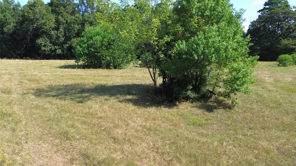 E State Hwy 21 Crockett, TX 75835