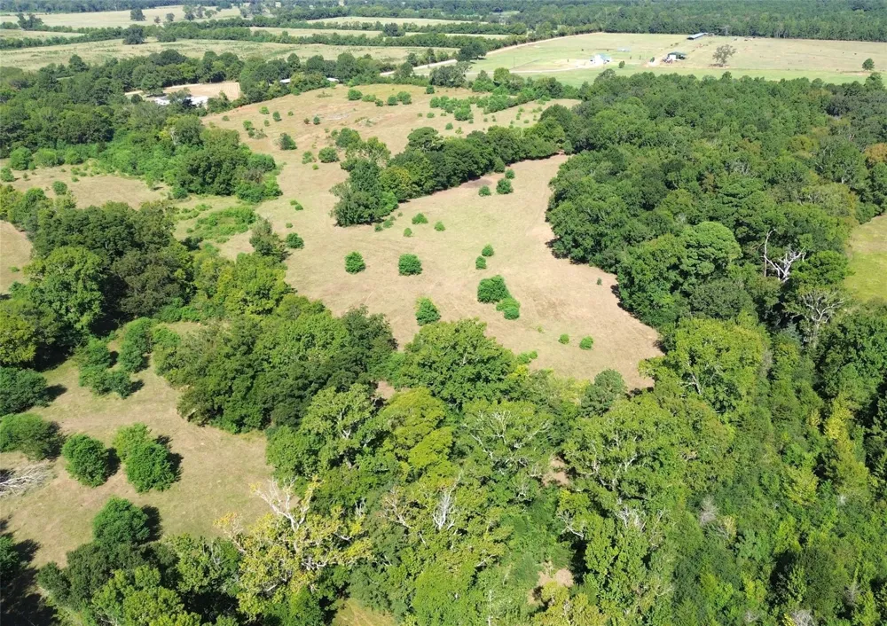 E State Hwy 21 Crockett, TX 75835