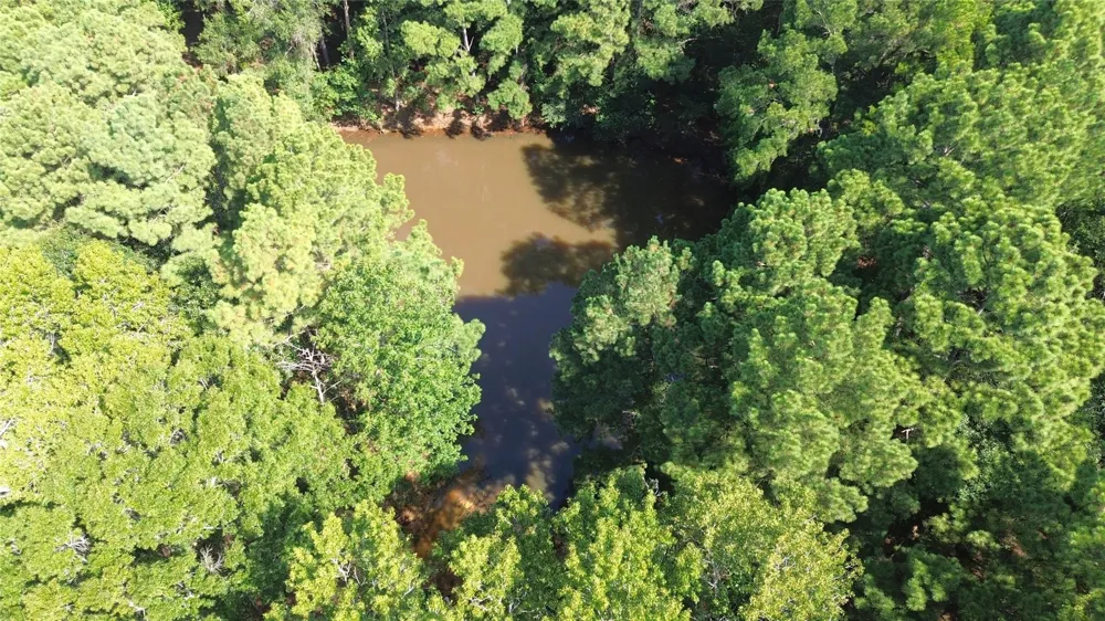 E State Hwy 21 Crockett, TX 75835