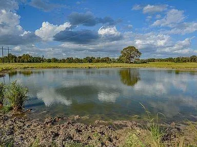 6125 Crane Lane North Zulch, TX 77872