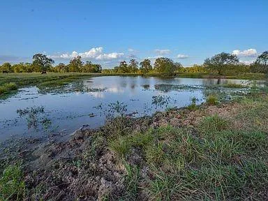 6125 Crane Lane North Zulch, TX 77872