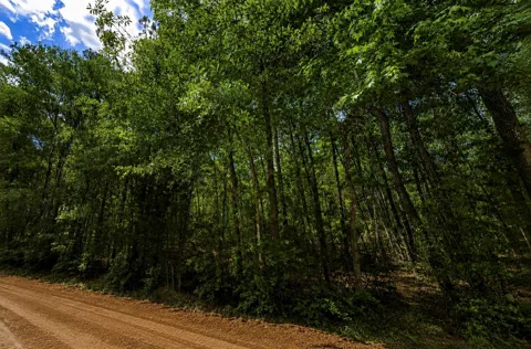 1 Crossroads Drive