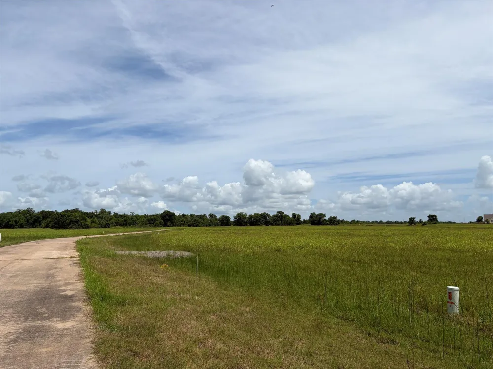 Conestoga Trail Angleton, TX 77515