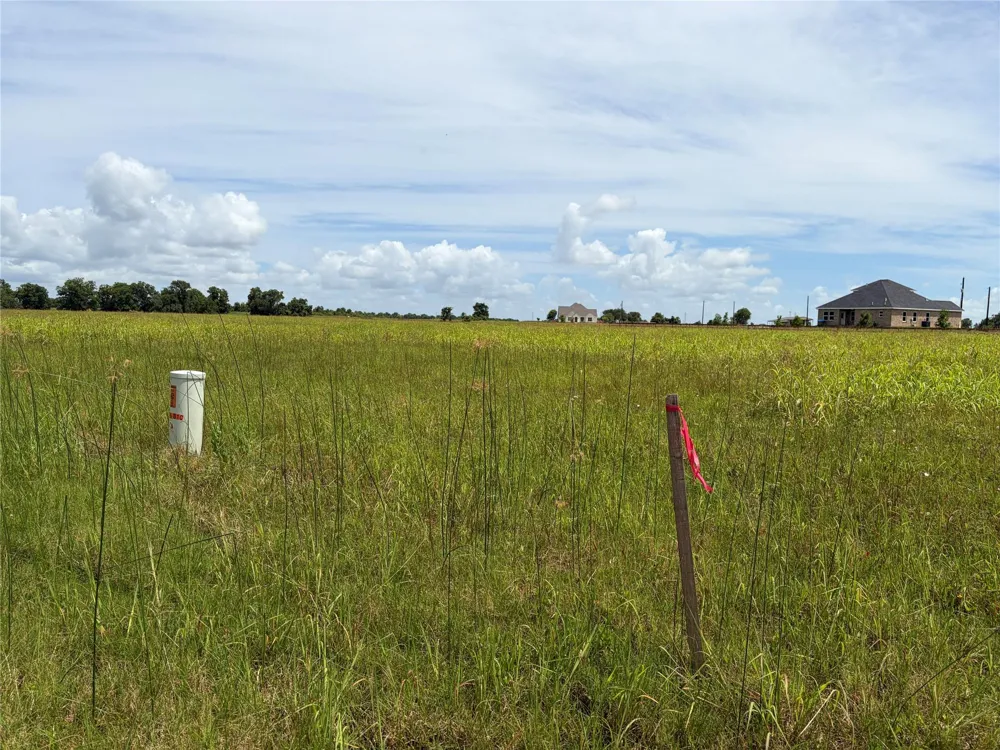 Conestoga Trail Angleton, TX 77515