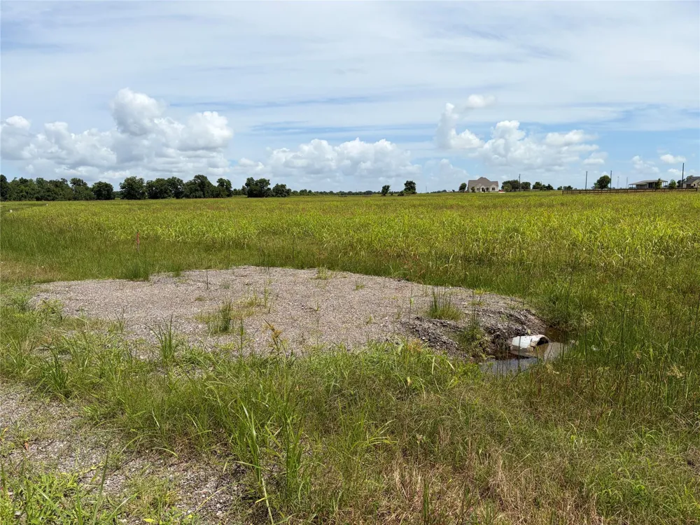 Conestoga Trail Angleton, TX 77515