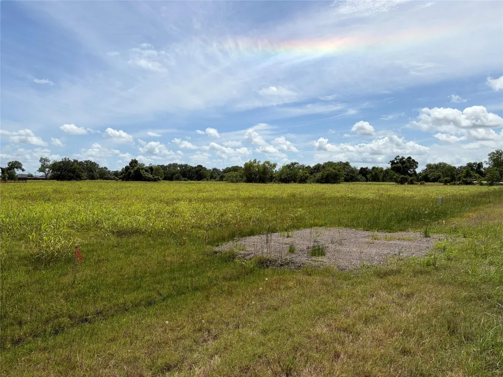 Conestoga Trail Angleton, TX 77515