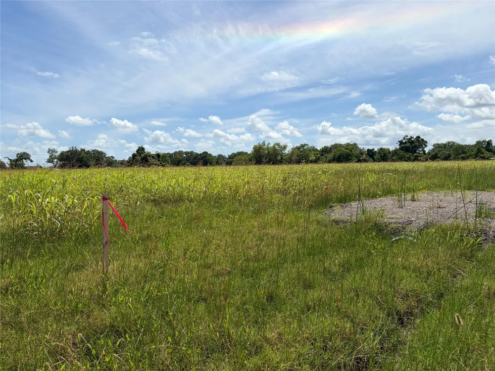 Conestoga Trail Angleton, TX 77515