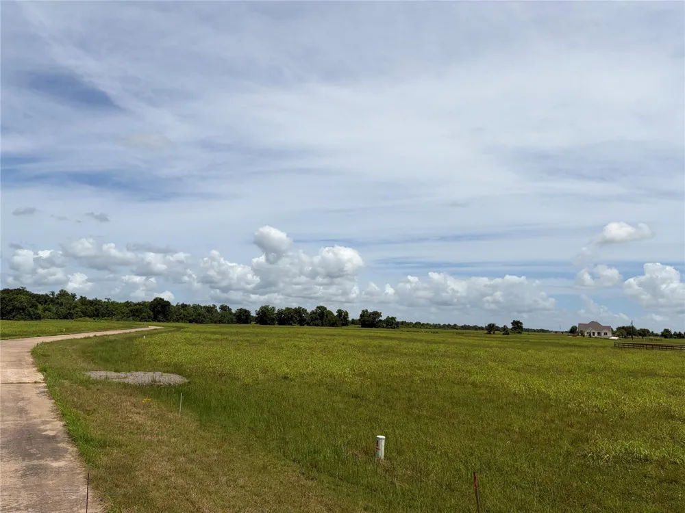 Conestoga Trail Angleton, TX 77515