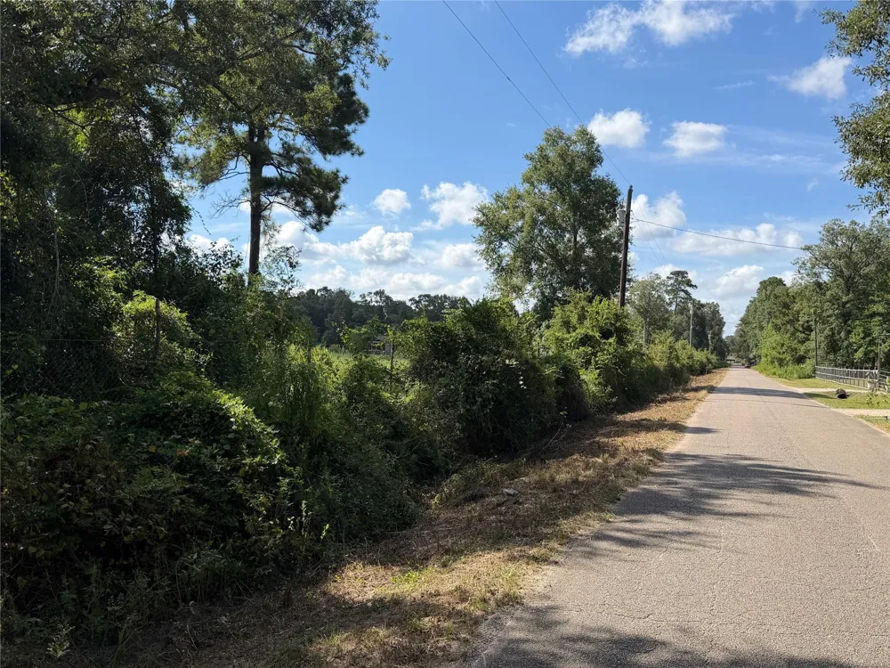 Jernigan Rd Conroe, TX 77306