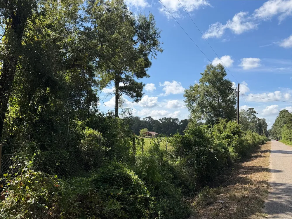 Jernigan Rd Conroe, TX 77306