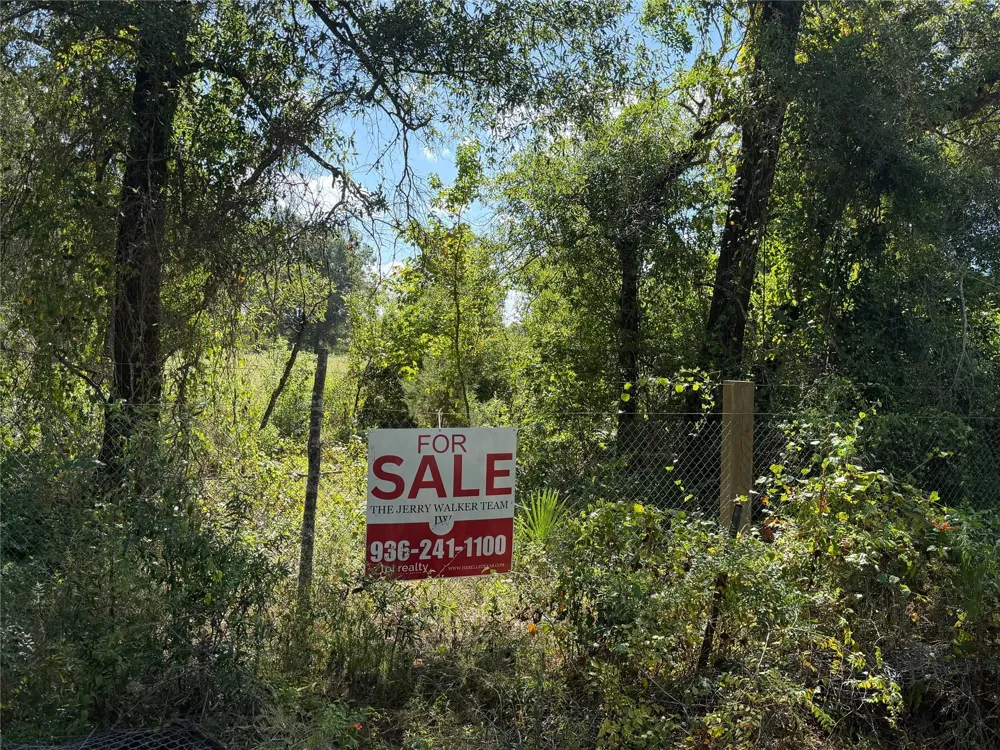 Jernigan Rd Conroe, TX 77306