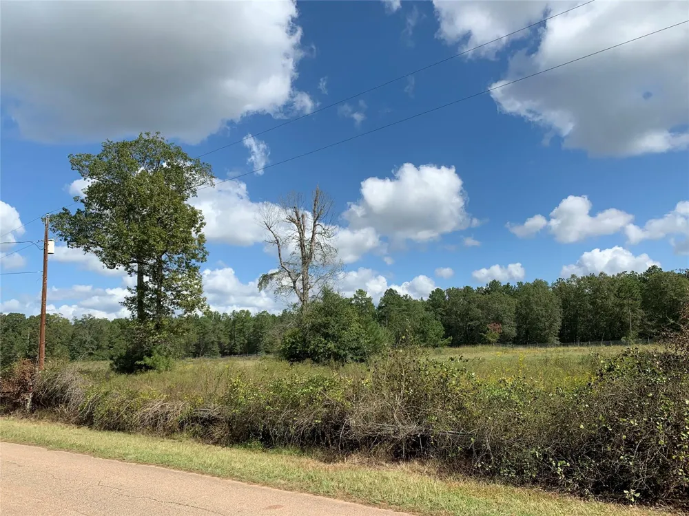Jernigan Rd Conroe, TX 77306