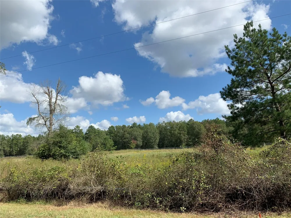 Jernigan Rd Conroe, TX 77306