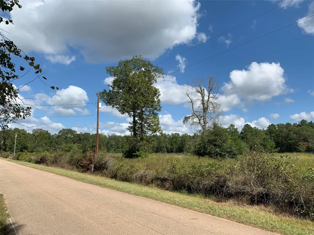 Jernigan Rd Conroe, TX 77306