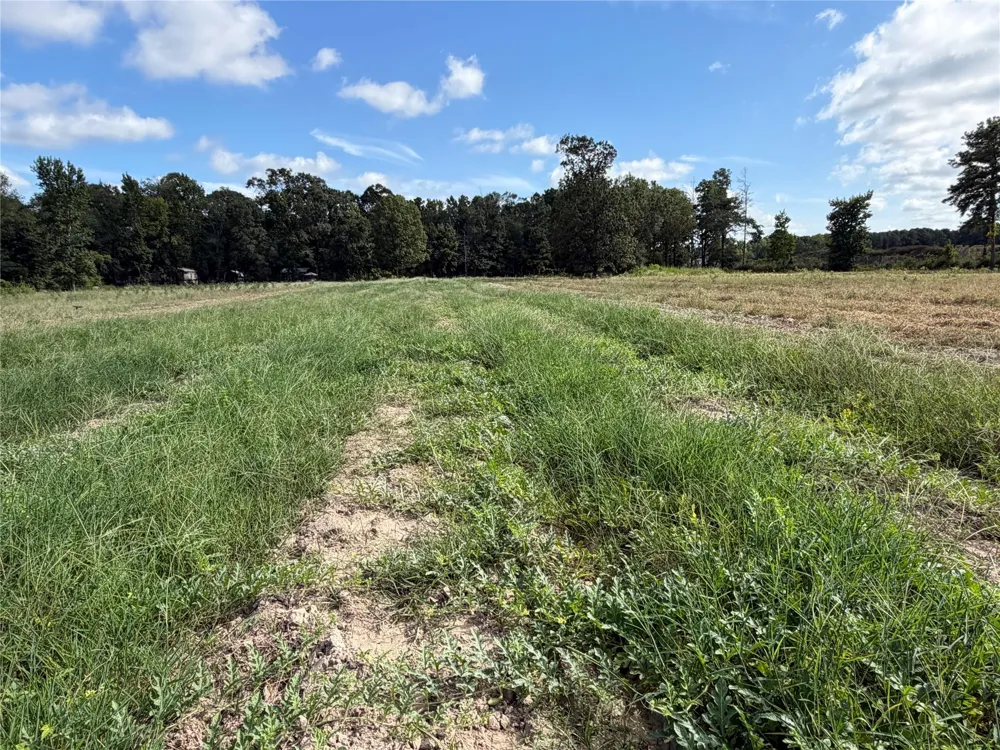 Jernigan Rd Conroe, TX 77306
