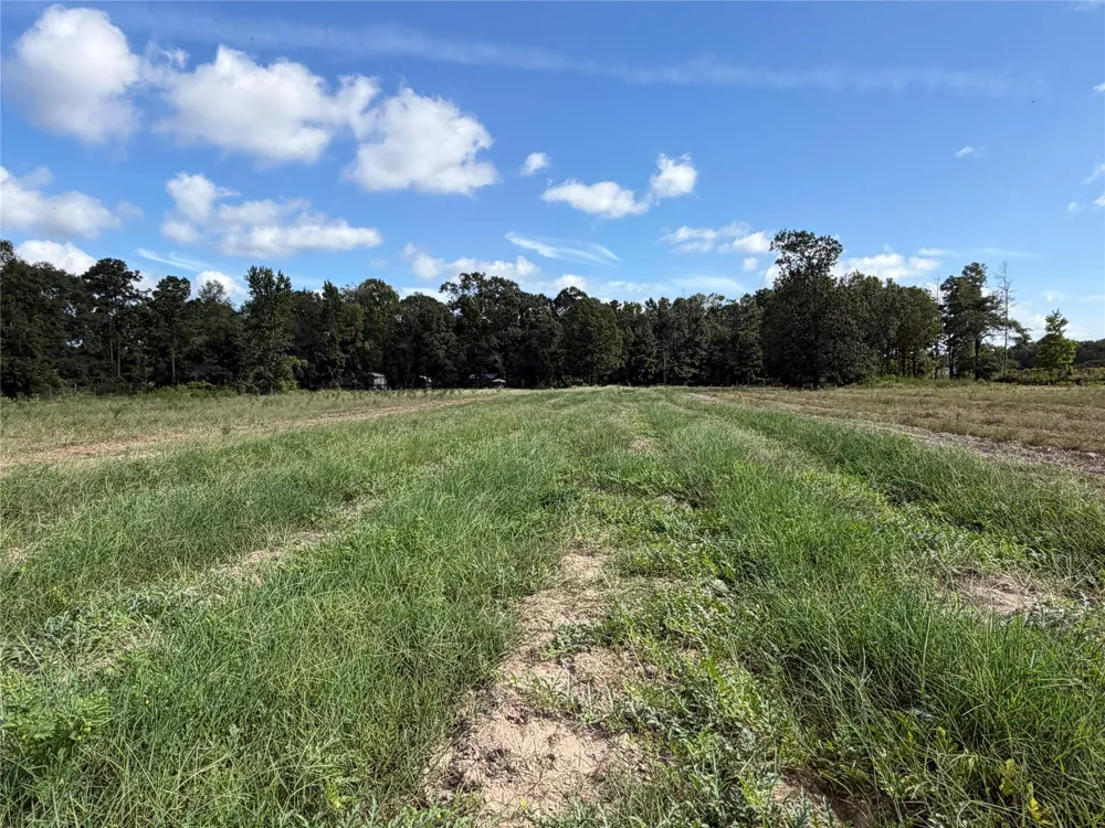 Jernigan Rd Conroe, TX 77306