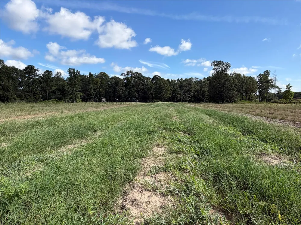 Jernigan Rd Conroe, TX 77306