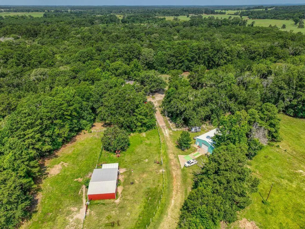 17657 Fm 2022 Grapeland, TX 75844