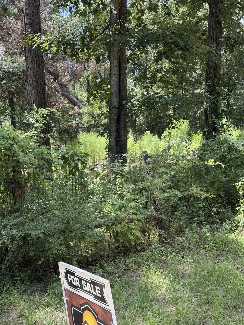41502 S Buckhorn Lane Magnolia, TX 77354