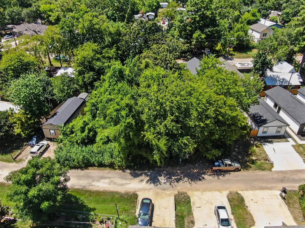 11547 Persimmon Street Willis, TX 77318