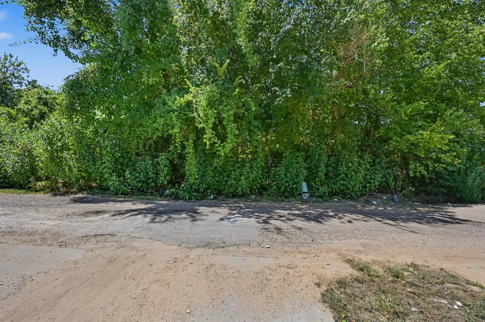 11547 Persimmon Street Willis, TX 77318