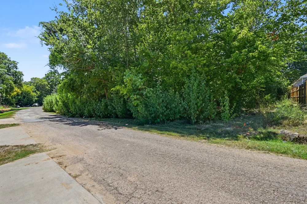 11547 Persimmon Street Willis, TX 77318