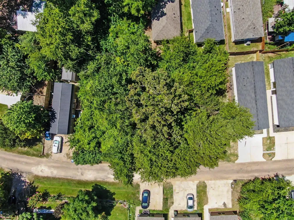11547 Persimmon Street Willis, TX 77318