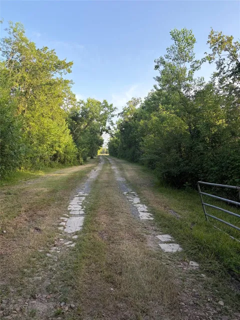 Rice Road