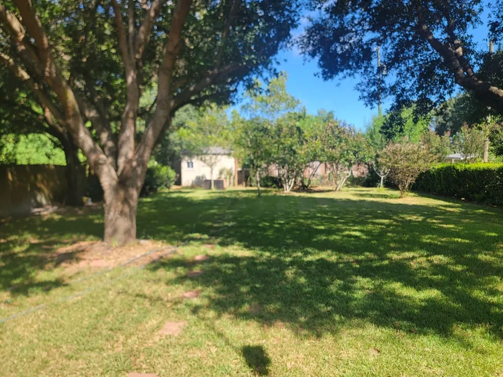 320 Old San Felipe Road Sealy, TX 77474